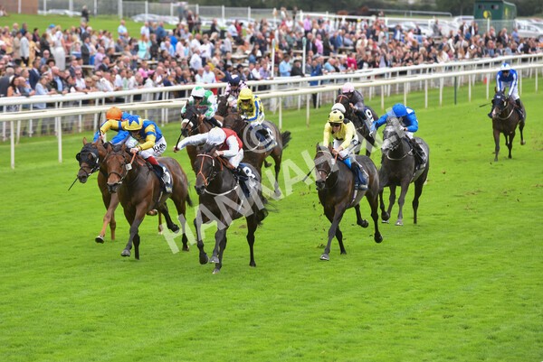 yr24092021r2-25 - Race 2 2.05pm William Hill Extra Places Races Stakes