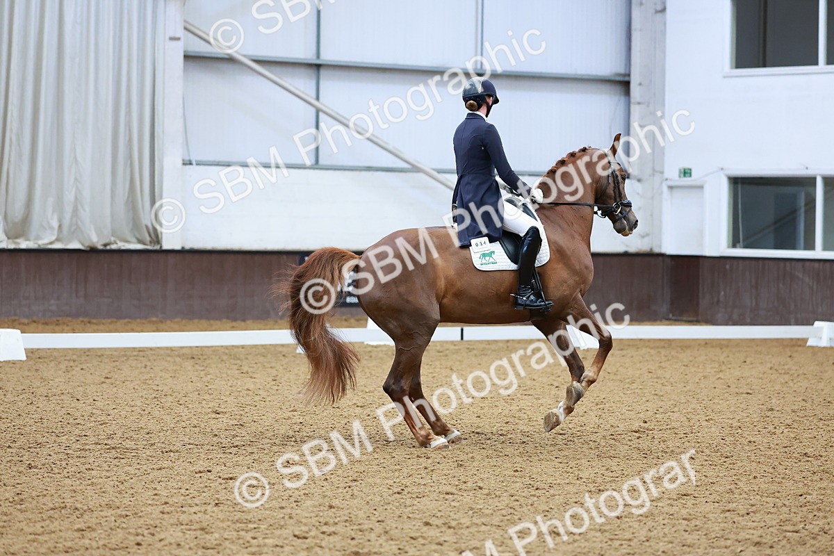 SBM_001143 - Class 12-19-16 - Lusitania-FEI INT I - PYO ADV 1