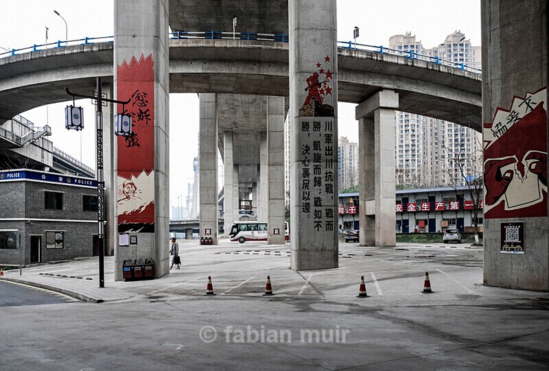  - Where the Wild Concrete Grows (China, ongoing)