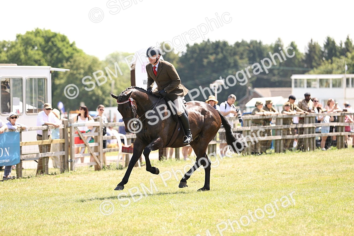 SBM_14902 - Class 78 - LIHS BSHA Open Racehorse & Show Horse