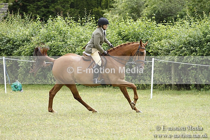 BVR160717-2248 - Ring 3 BVRC Show 16/07/17