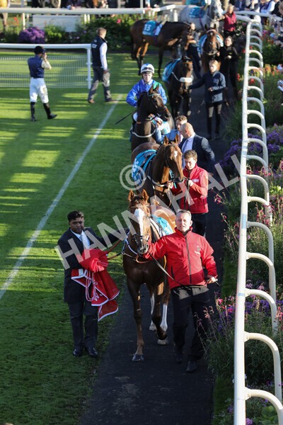 yr08102022r7-12 - Race 7 5.00pm The Coral Gets You Closer To The Action Stakes