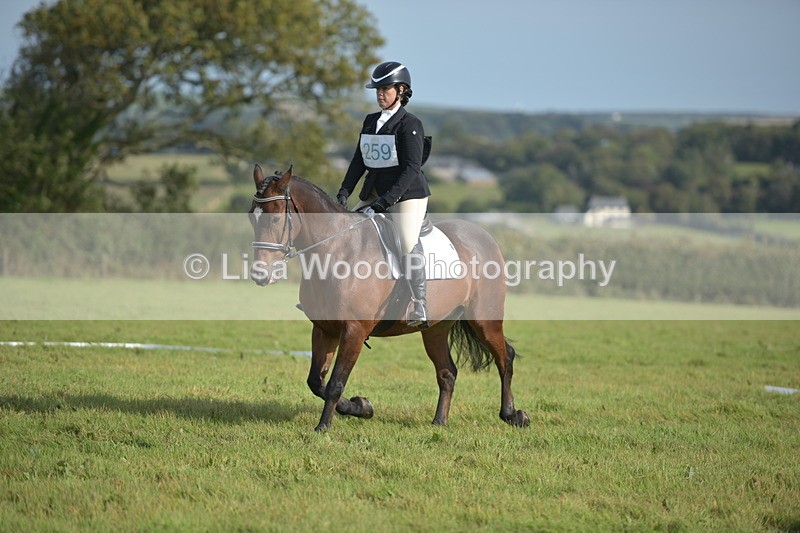 RAY_7714 - Class 2B: Trekenning Open: Dressage