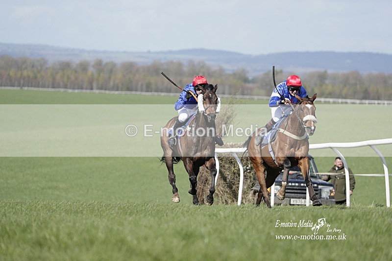 PtP 100423 781 - Old Berkshire Point-to-Point Lockinge 10/04/23
