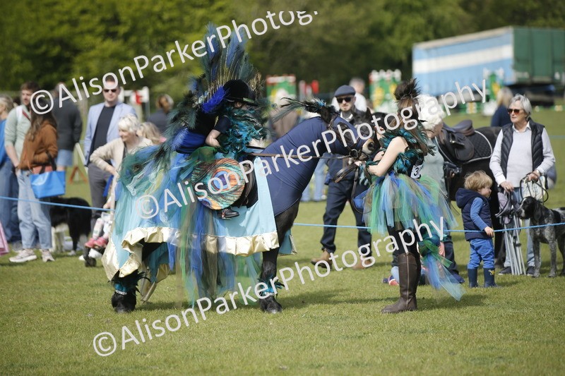 20260426-1263 - Class 6 - Fancy Dress