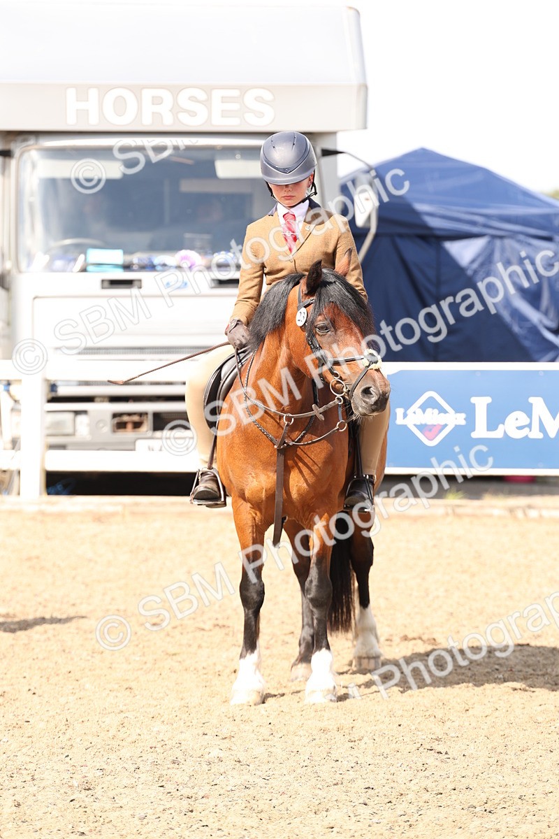 SBM_07409 - Class 58b -  Style & Performance - 70cm (20+)