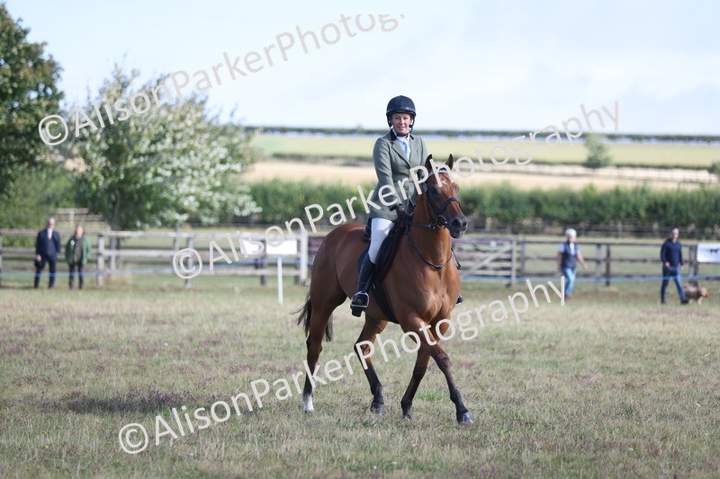 20250831-0818 - Class 14 - Ex Racehorse