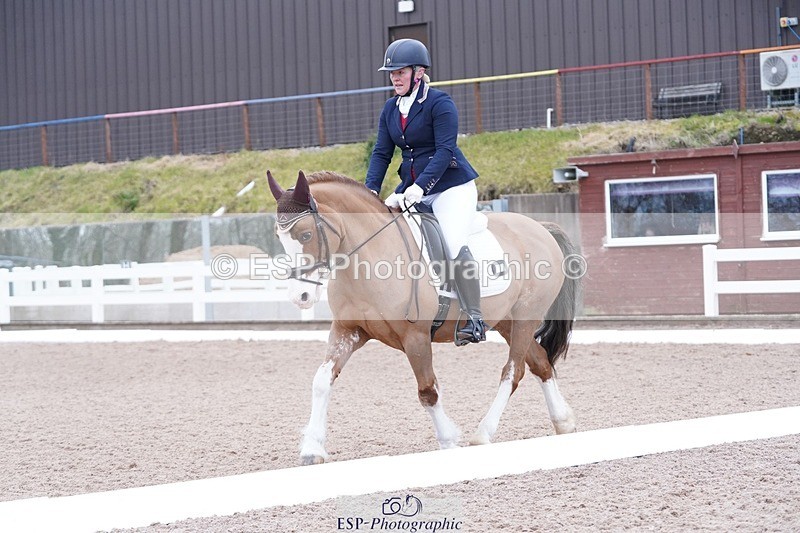 250214-094836-00075 - 167-Willow.Tarrant.Clark-Ashgrove.Wendi