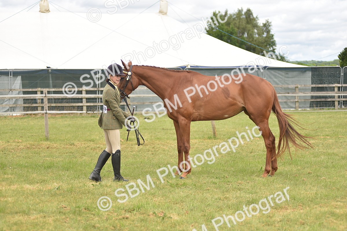 SBM_15124 - Class 113-114 - Retraining of Racehorses Ridden