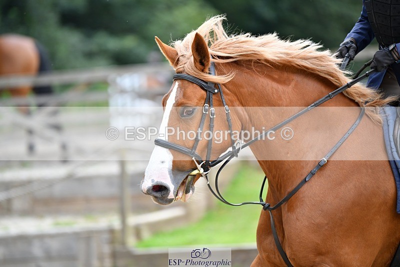 240712-141740-34537 - Cls 139 Discovery and 1m Open