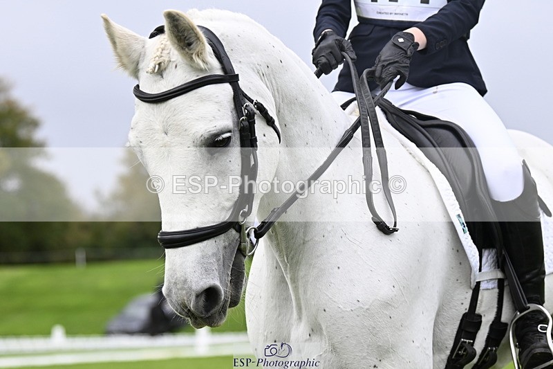 251023A-114126-03924 - F-414-Cecily.Bradford