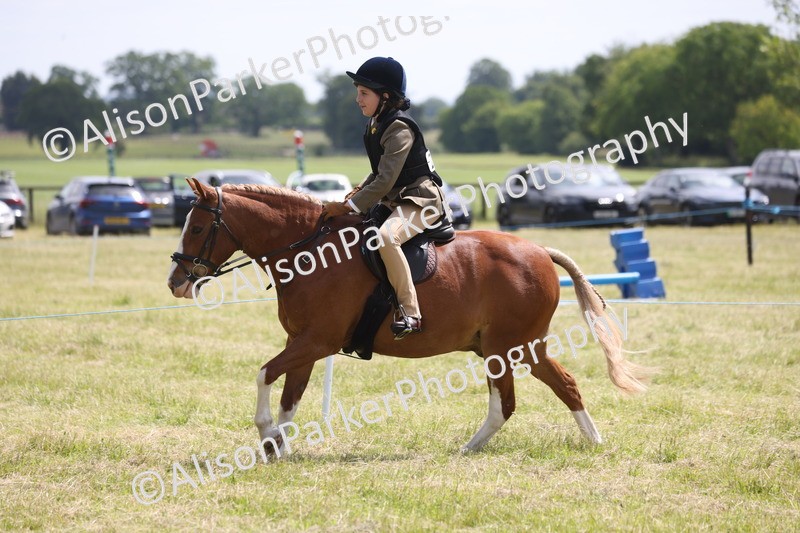 20260614-1948 - Class 21 - Novice Working Hunter Pony