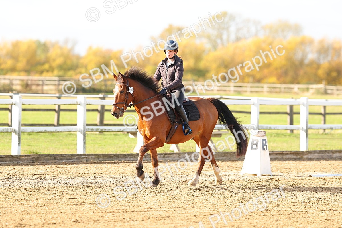 SBM_001224 - Class 13-4-9 - DR P3 CT P3 70cm CT PYO