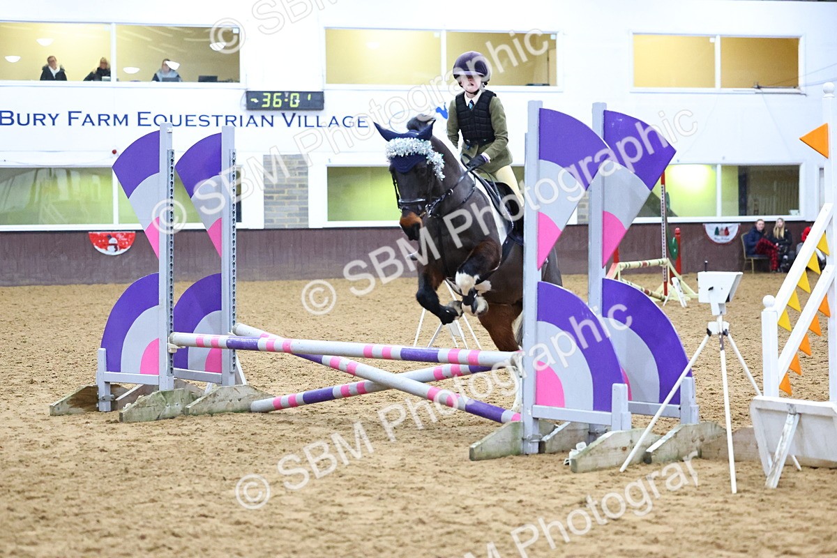 SBM_001458 - Class 3 - Christmas Tree Stakes - 60cm