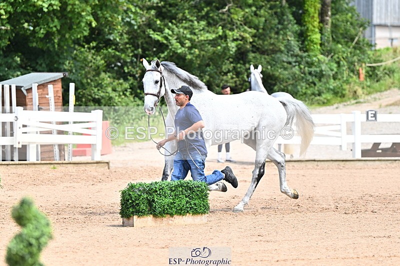 240718A-105255-01321 - Trot Up 12pm to 1pm