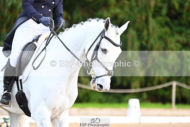 231021-155649-20970 - 262-GOOD.BOY.ALEX-Tara.Jefferies-DR