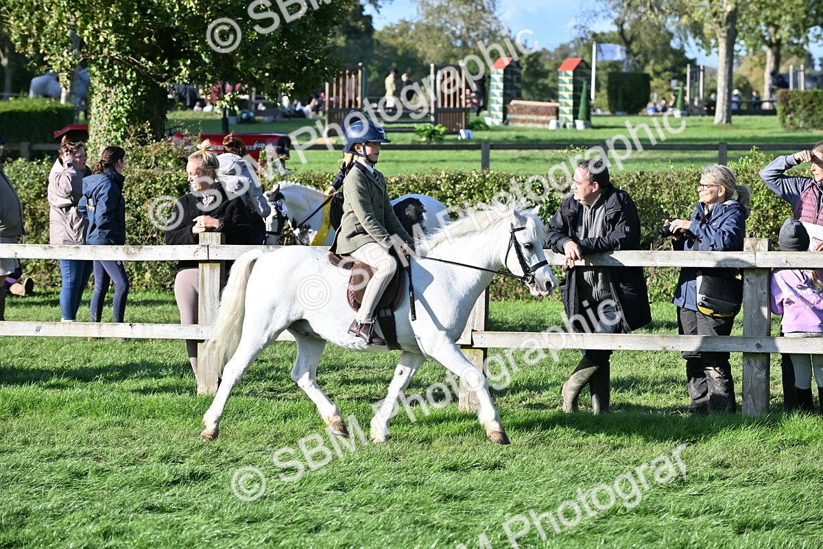 SBM_52995 - S23 - First Ridden Mountain & Moorland Pony