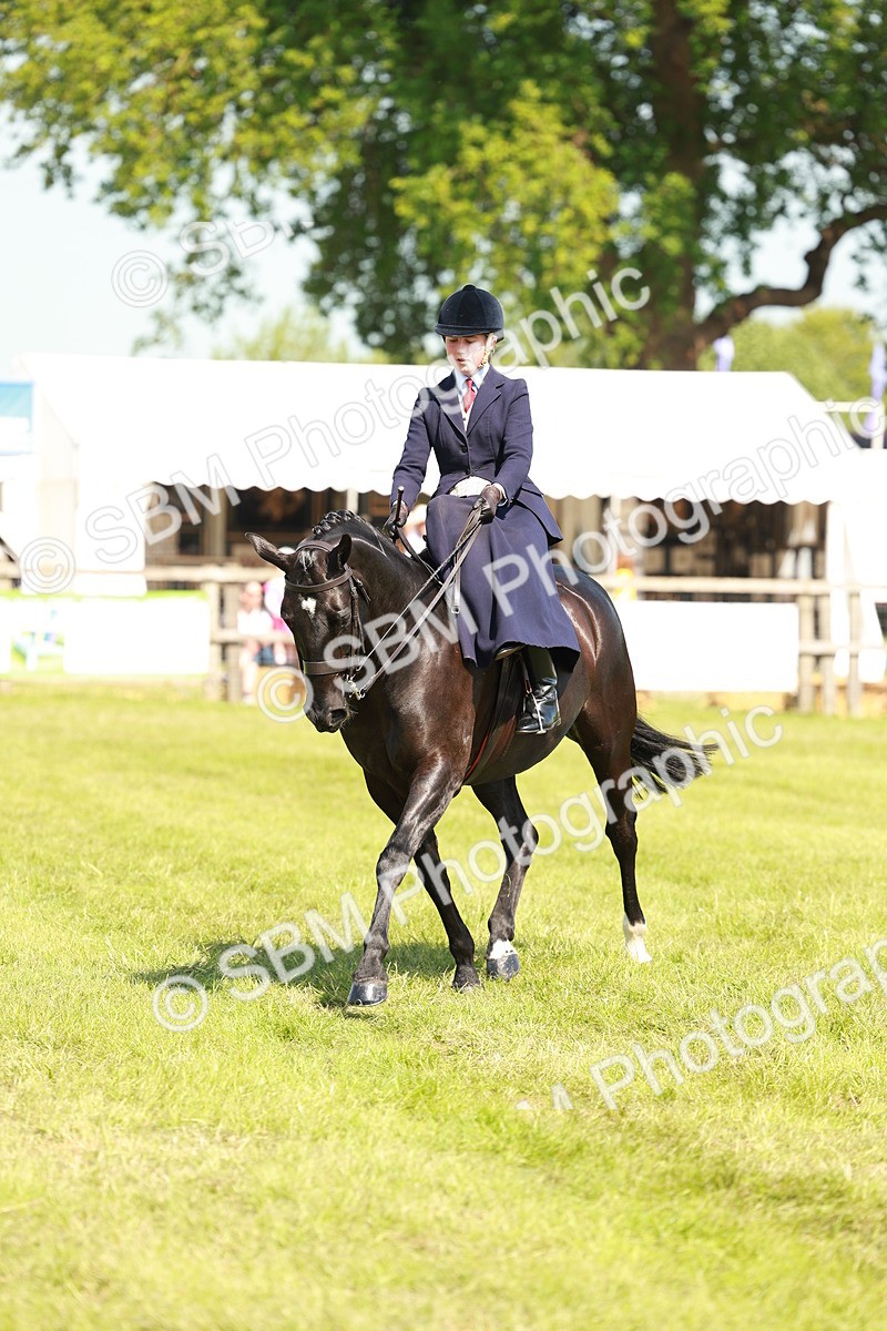 SBM_13329 - Class 70-71 - Side Saddle