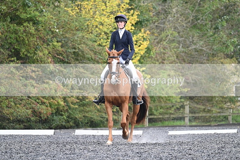 WJ7_6620 - Time 14:49 to 15:14