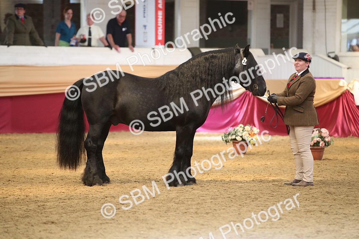 SBM_05339 - Class 8R - Regional IH Veteran