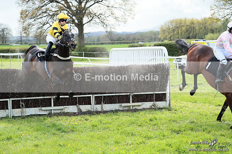 PtP 180426 824 - Worcestershire Hunt PtP Chaddesley Corbett 18/04/26