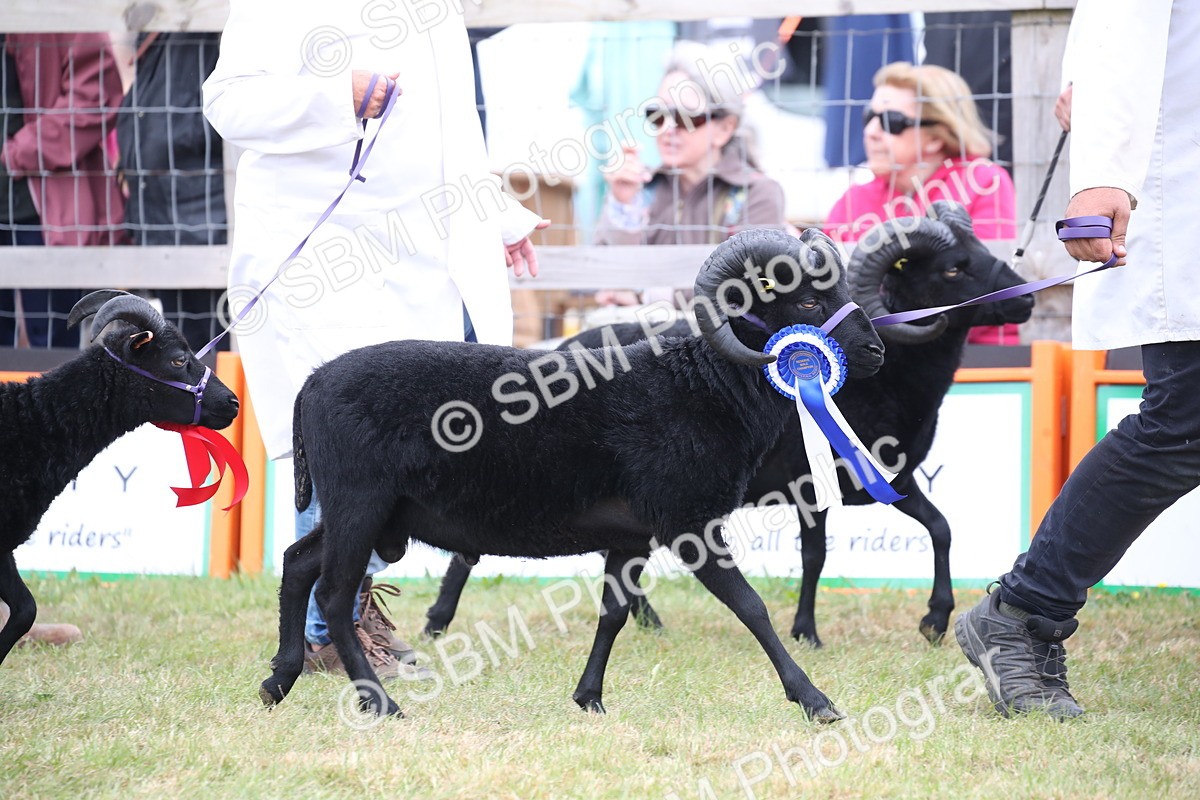 SBM_07778 - Grand Parade