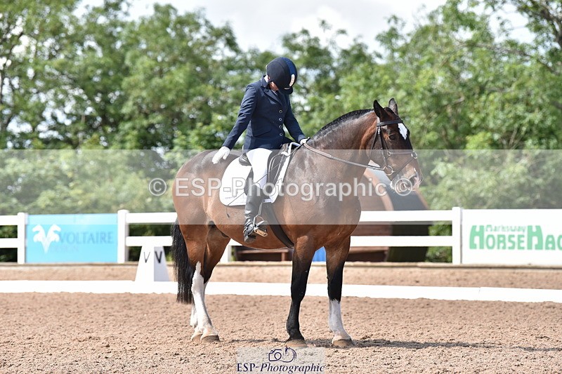 240706A-151010-03448 - Cls 4C Snr Novice 23