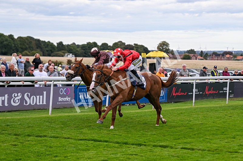 160926-Race 4-Woodvale-0666 - Race 4 3.48pm EBF Restricted Maiden Stakes