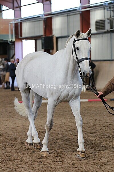 SIAL9970 - Indoor Classes