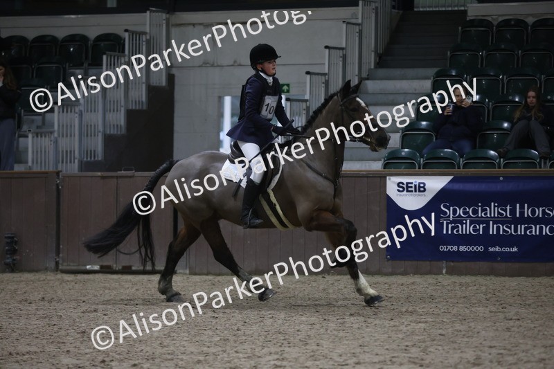 20260125-4720 - Class 5 - 80cm