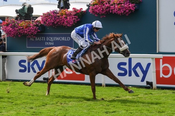250823-Race 1-Marhaba The Champ-0139 - Race 1 1.50pm Sky Bet Handicap