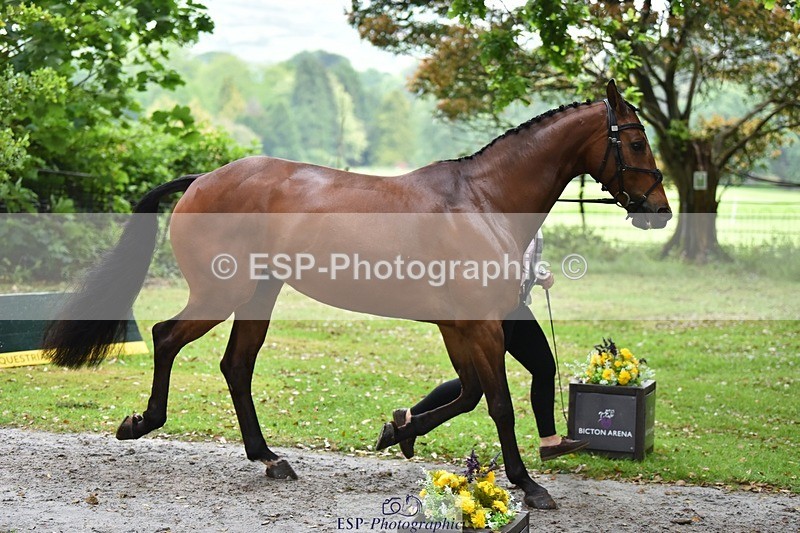 240522-165328-01231 - 276-FOURFIELDS_WONDER_WOMAN-Heidi_Coy