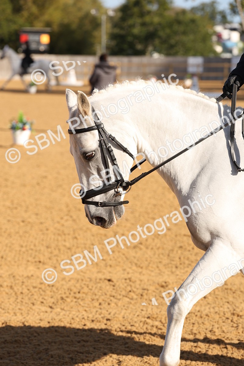 SBM_16045 - D10 - Small Tour Championship Prelim 2