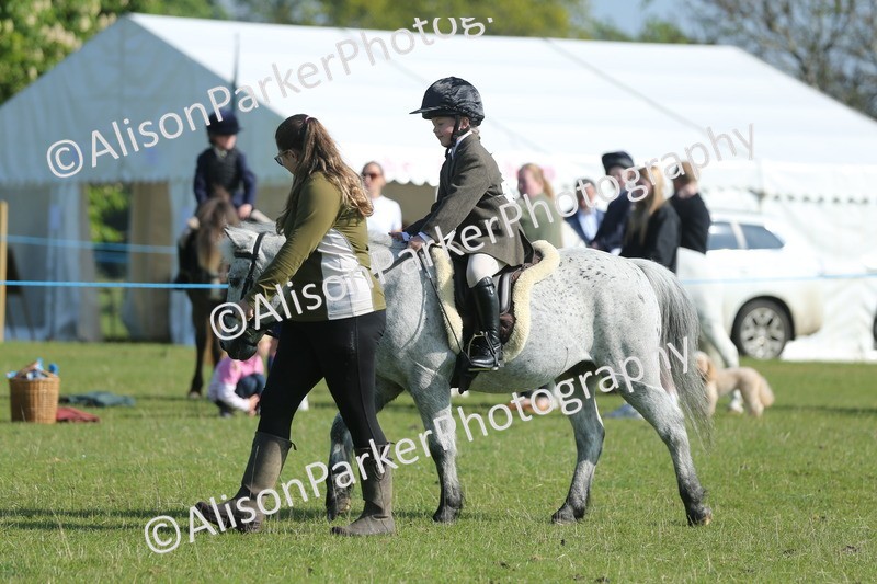 20250427-0902 - Class 1 - Mini Jumping Lead Rein or Assisted