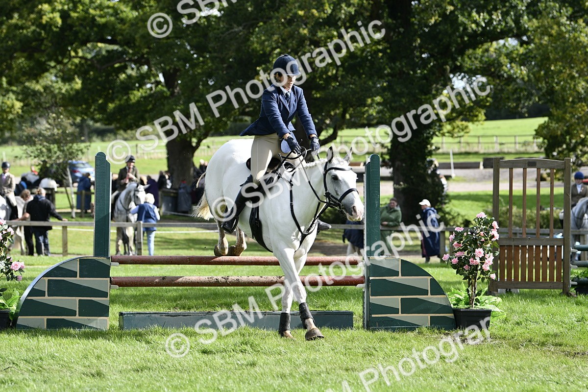 SBM_49976 - S34 - Novice & Newcomers Working Hunter