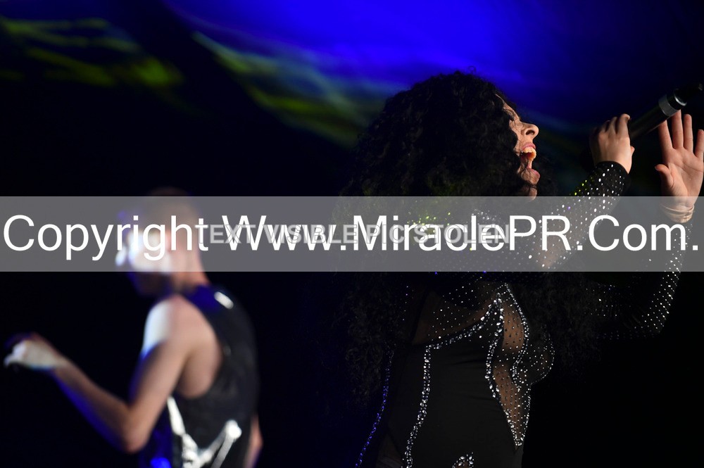 SH4_6344 - The Cher Experience