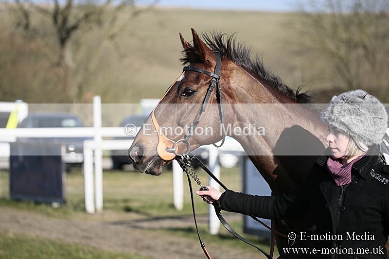 PtP 240218 563 - Vine & Craven Hunt Point-to-Point Barbury racecourse 24/02/18