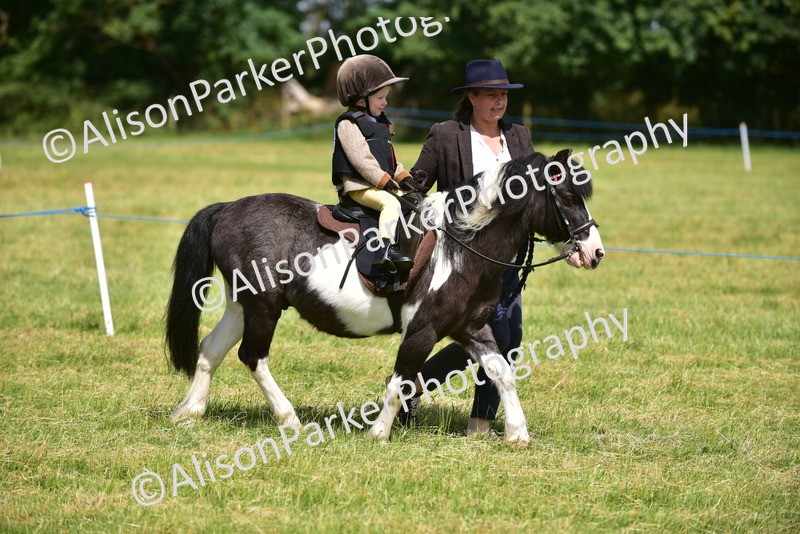 20260614-1182 - Class 11a - Lead Rein Pony (Unplaited)
