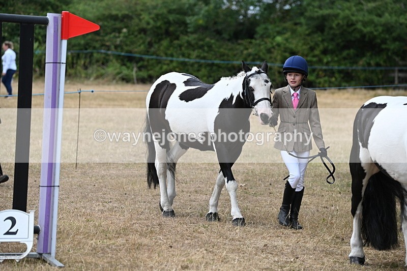 WJ6_7918 - Class 10 Coloured in Hand
