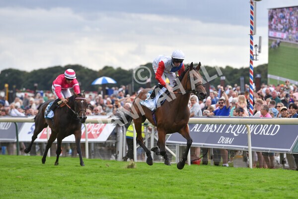 yr19082022r5-30 - Race 5 4.10pm Assured Data Protection EBF Fillies' Stakes