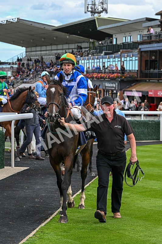 160926-Race 2-Northern Viola-9761 - Race 2 2.43pm Young Guns Nursery Handicap