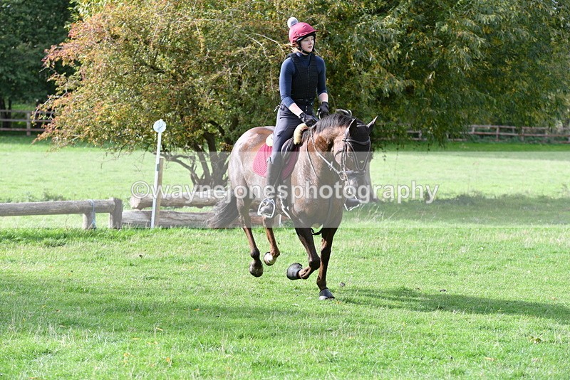 WJ5_0732 - Time 13:59 to 14:28