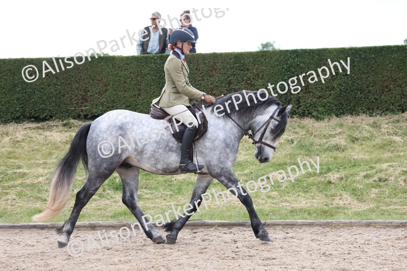 20250524-1360 - Class 16 - Hunter and Cob