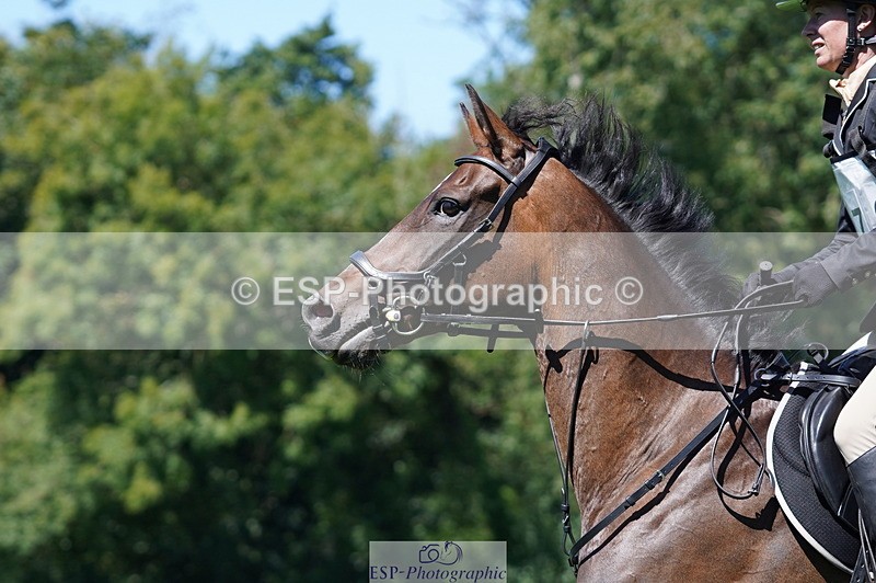 240811A-142316-04280 - 170