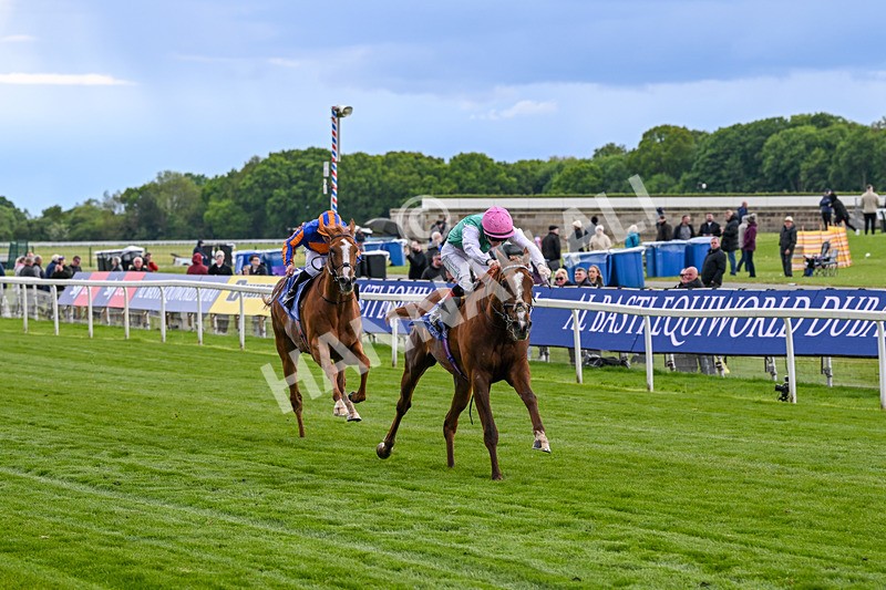 140526-Race 5-Item-5575 - Race 5 4.05pm Al Basti Equiworld Dubai Dante Stakes