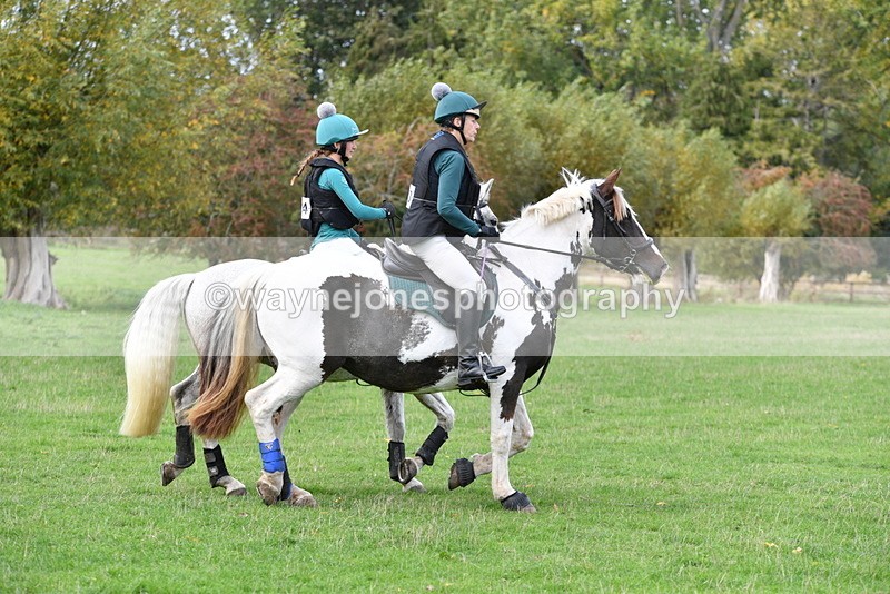 WJ5_0306 - Time 13:25 to 13:58