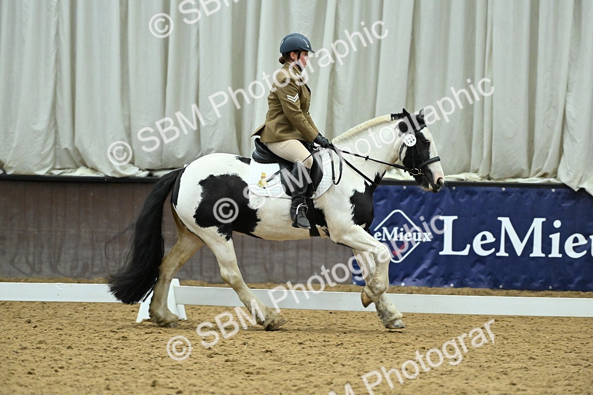 SBM_007382 - Class 81 - Novice 3