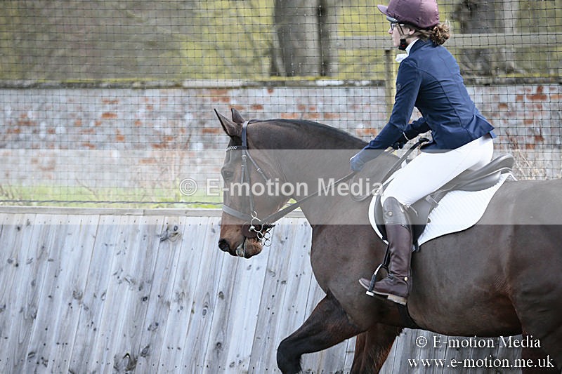 BVRC SJ 170319 91 - Bourne Valley Riding Club Showjumping 17/03/19