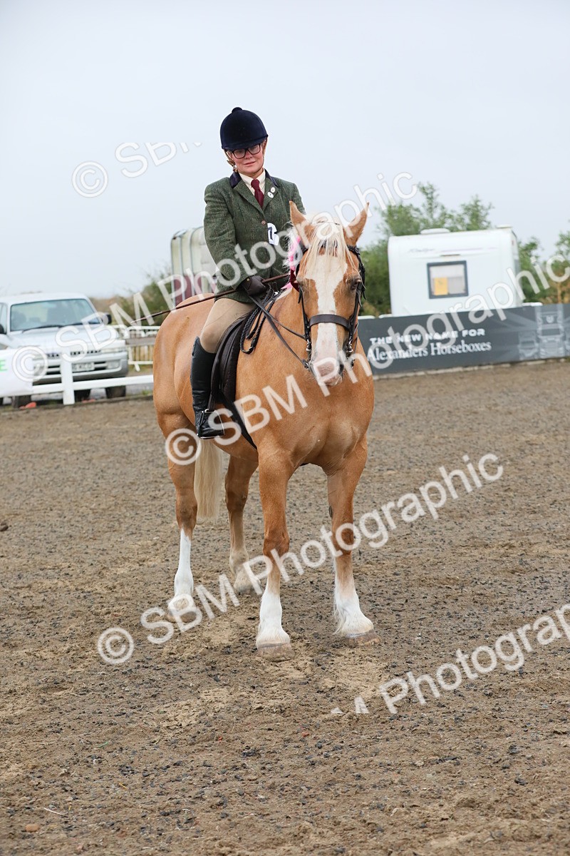 SBM_20398 - Class 803 - Ridden Combination 65+
