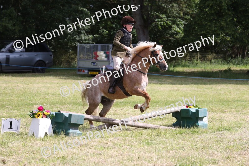 20260614-0740 - Class 20 - Beginners Working Hunter Pony